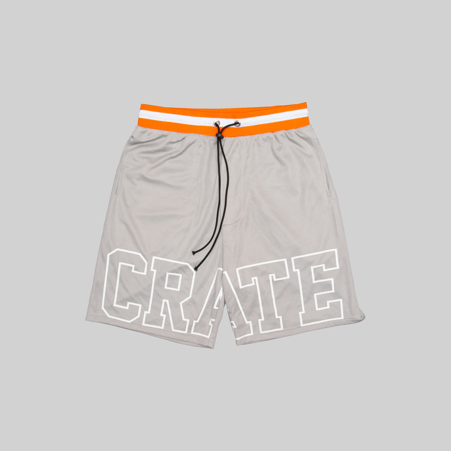 MEN'S ICONIC MESH TRAINING SHORTS