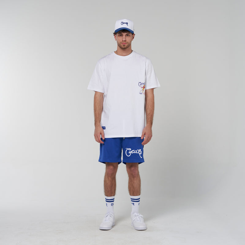 Crate Basic Script Mesh Shorts