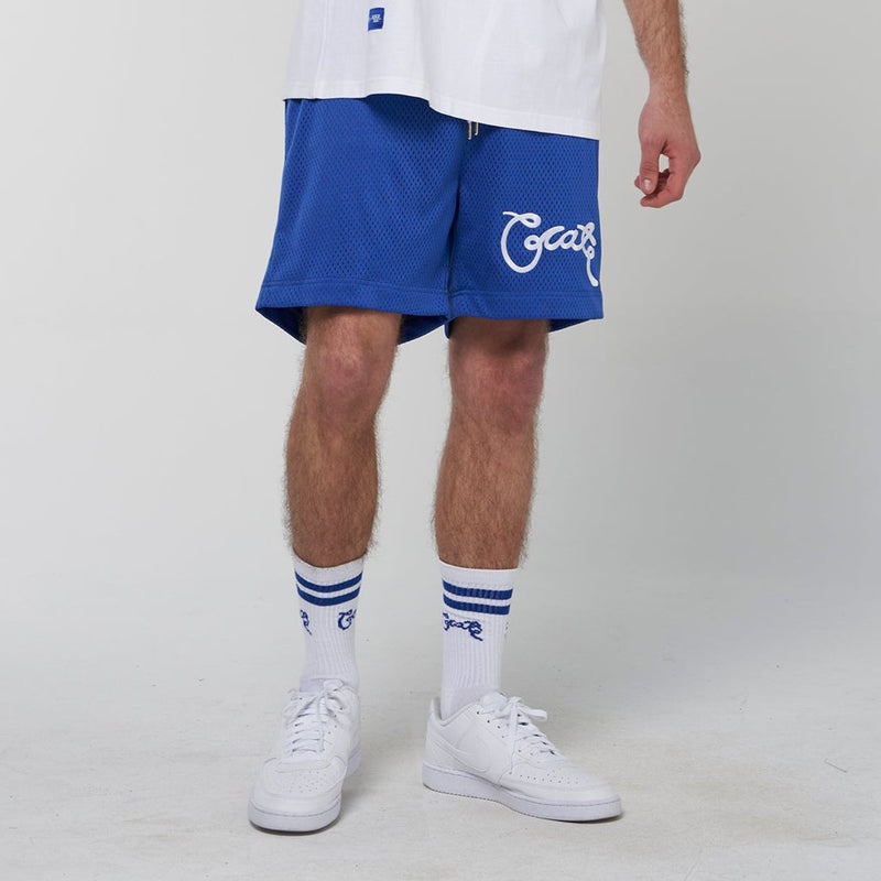 Crate Basic Script Mesh Shorts