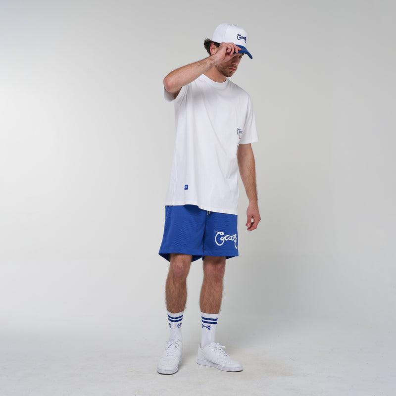Crate Basic Script Mesh Shorts