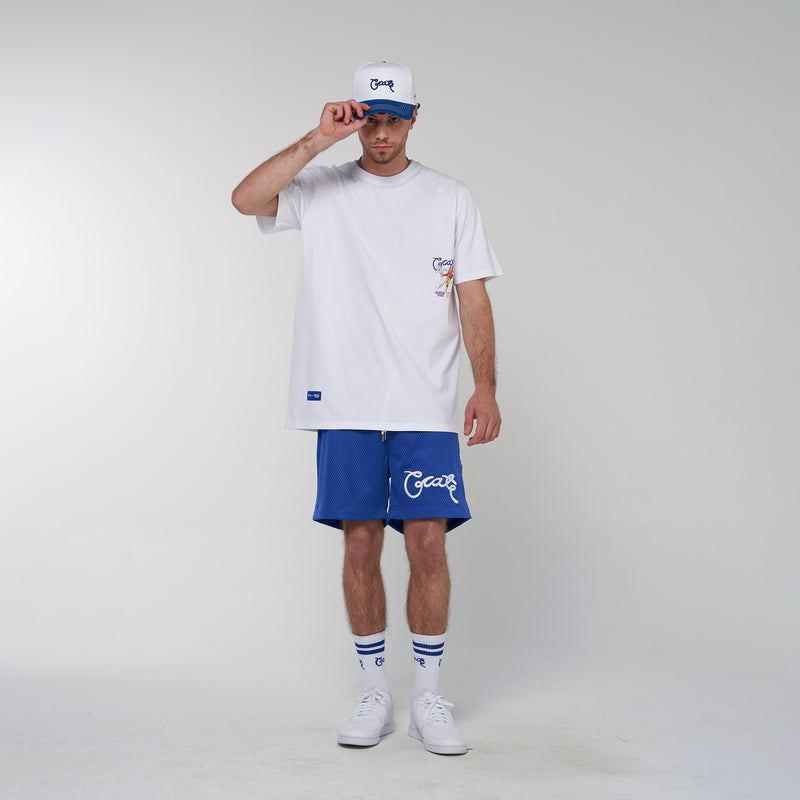 Crate Basic Script Mesh Shorts