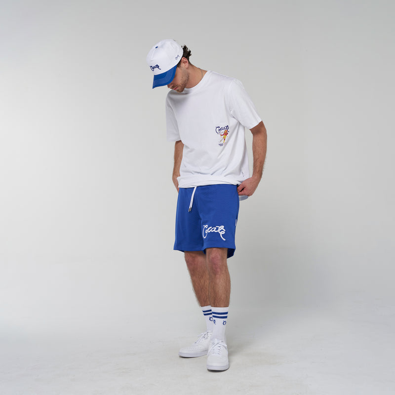 Crate Basic Script Mesh Shorts