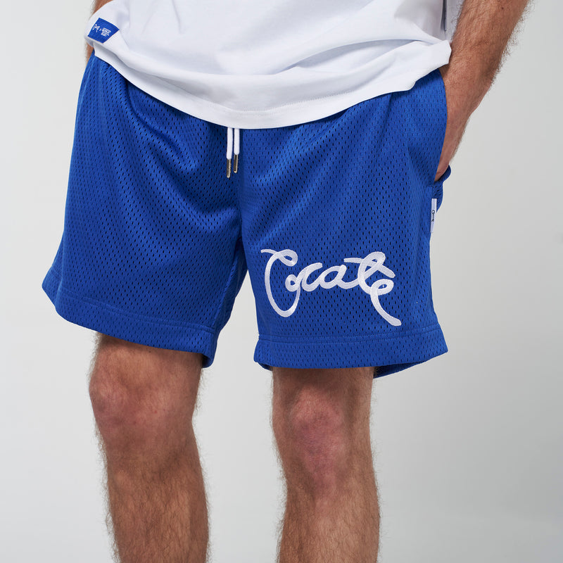 Crate Basic Script Mesh Shorts
