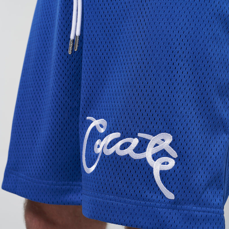 Crate Basic Script Mesh Shorts