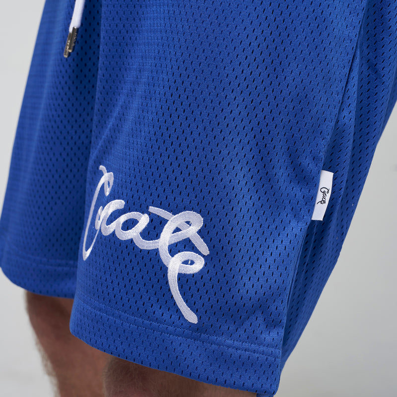 Crate Basic Script Mesh Shorts