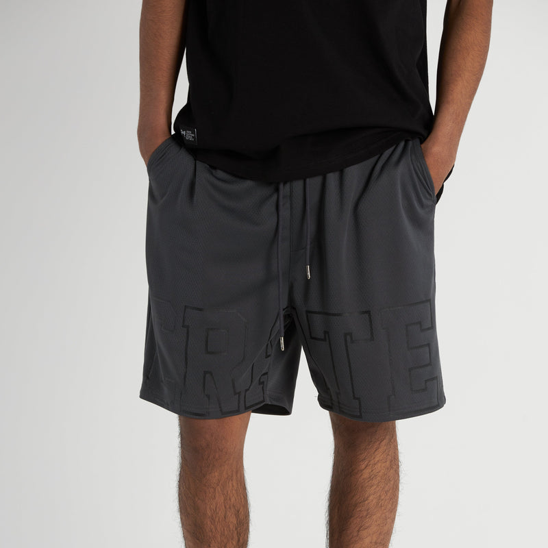 Men's Iconic Mesh Shorts