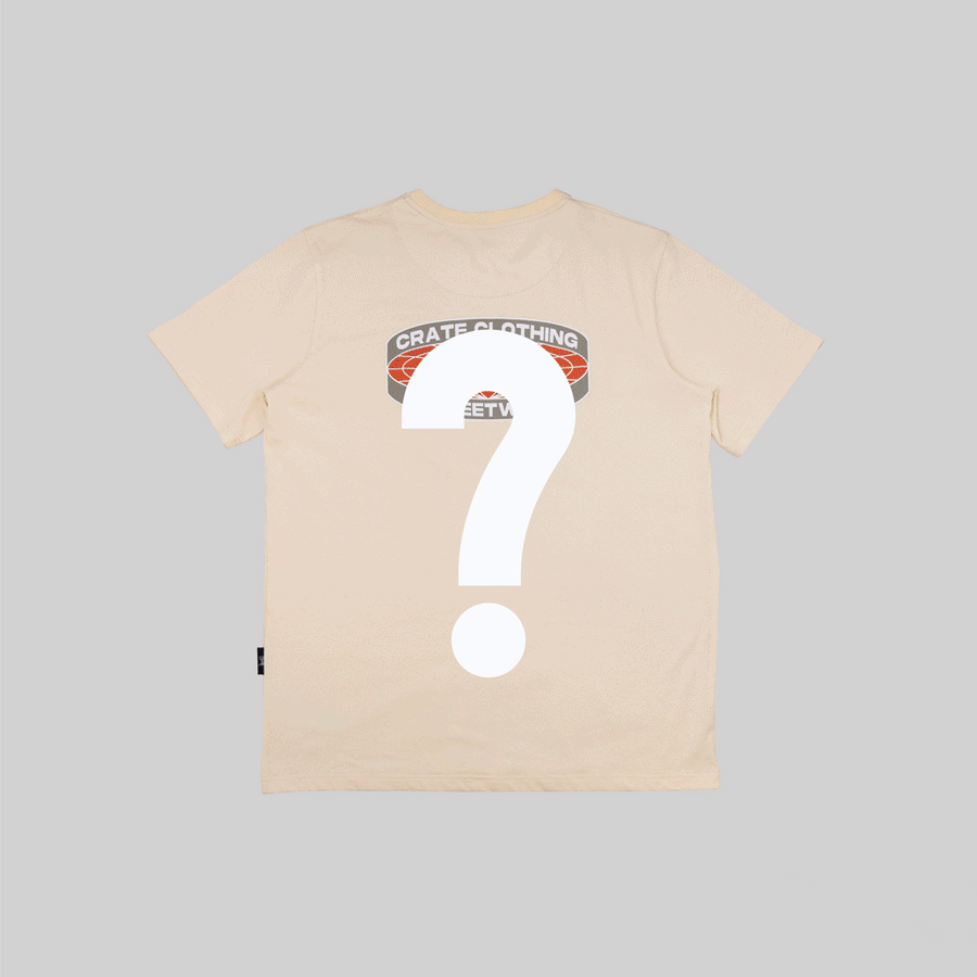 Mystery t-shirt