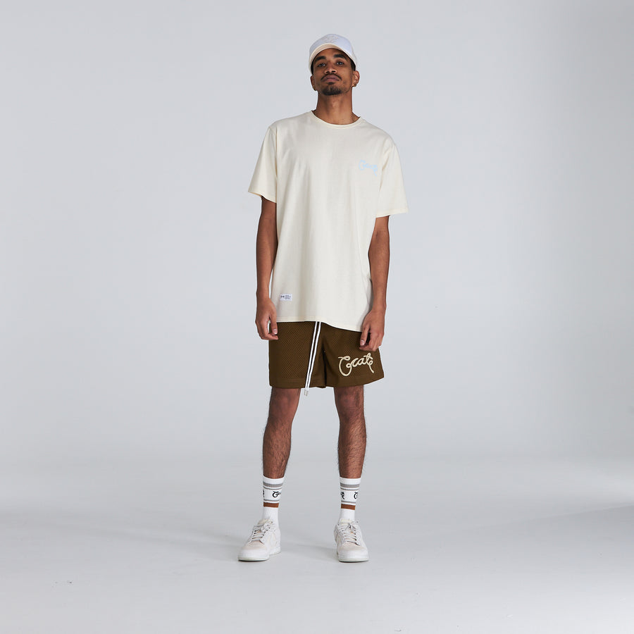 Men's Scripted Mesh Shorts