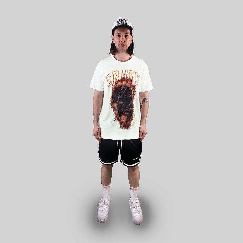 MEN'S FLAMING PANTHER T-SHIRT