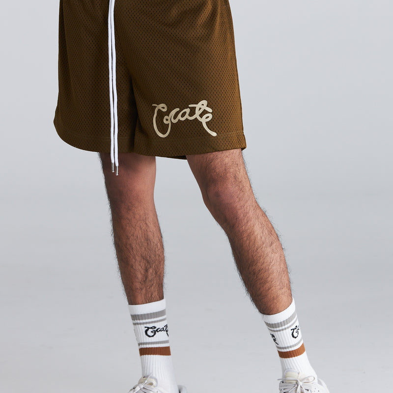 Men's Scripted Mesh Shorts