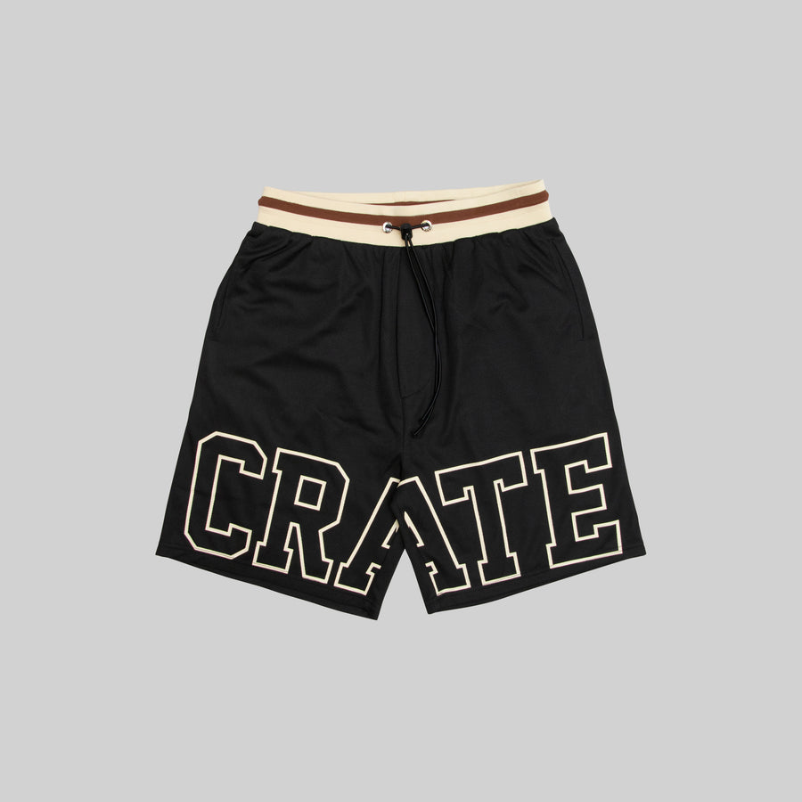 MEN'S ICONIC MESH TRAINING SHORTS