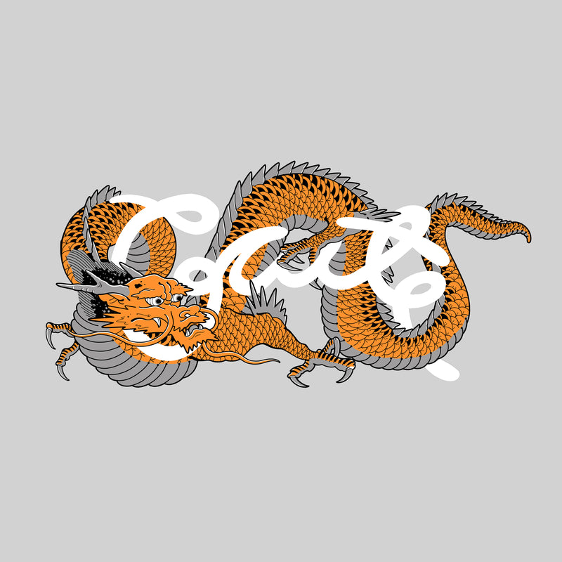 MENS DRAGON SCRIPT T-SHIRT